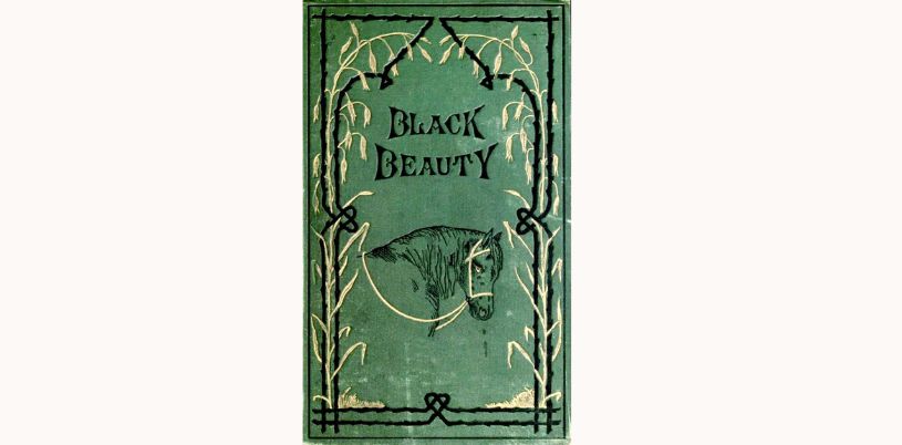 BlackBeauty